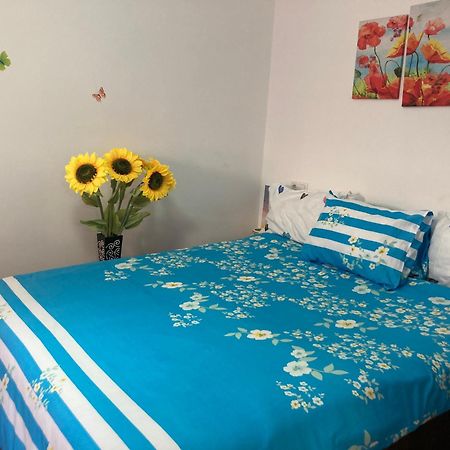 Apartmán Cosy Hideaway Brašov Exteriér fotografie
